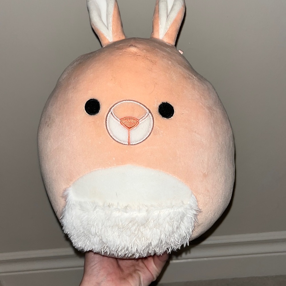 PETER THE KANGAROO SQUISHMELLOW